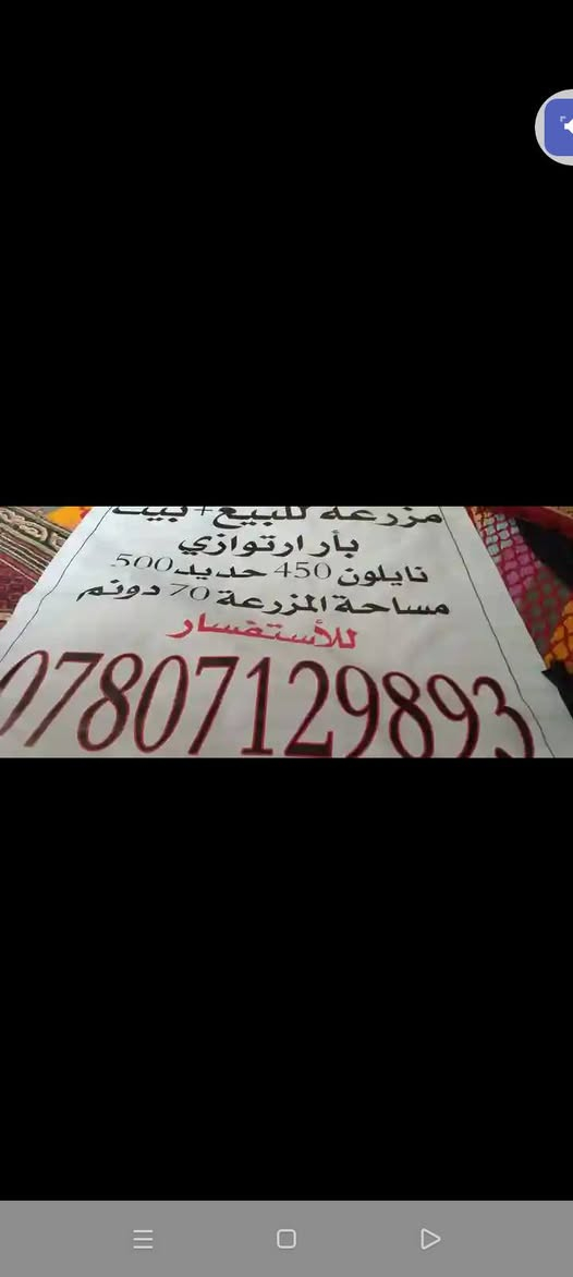 مزرعه للبيع بالمشروع الشراي يتصل على هذا الرقم


**إذا كنت صاحب هذا الإعلان وتريد حذفه لأي سبب، رجاءا أرسل رسالة إلى الدعم الفني**