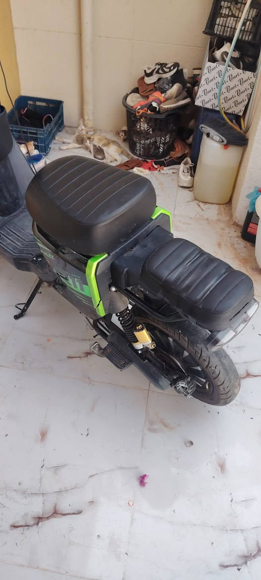R11 للبيع سرعة 109
بصمتين وسويجين
خمس بطريات شركة وينلي
حساسات
شغاله كامله
سعر ٣٥٠ ادمن وافق رحمه لاهلك


**إذا كنت صاحب هذا الإعلان وتريد حذفه لأي سبب، رجاءا أرسل رسالة إلى الدعم الفني**