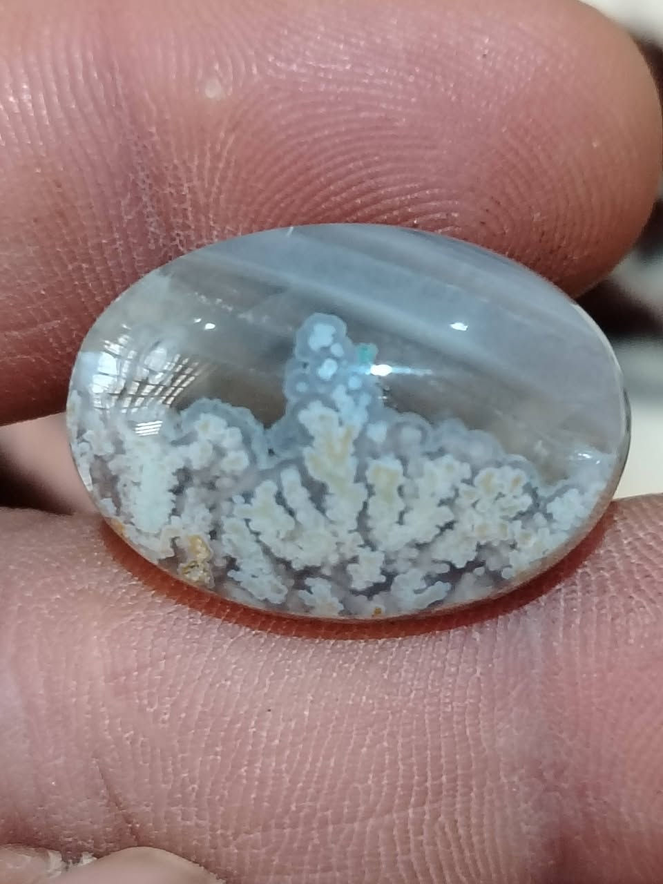 شجري خراساني 
العدد 3 
الكل ب10 من غير التوصيل


**إذا كنت صاحب هذا الإعلان وتريد حذفه لأي سبب، رجاءا أرسل رسالة إلى الدعم الفني**