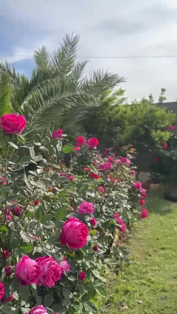 القبطان فارم ⚓💙
بغداد / التاجي 

🔴 للعوائل فقط 🔴

موثوقة بتطبيق أجرلي📱

للحجز او الاستفسار المراسلة عبر الخاص 💌

للاتصال + وتساب
***********
