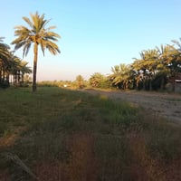 أرض للبيع • دونمين للبيع • أرض الصناعة الثالثة • أرض العثماينة • للبيع...