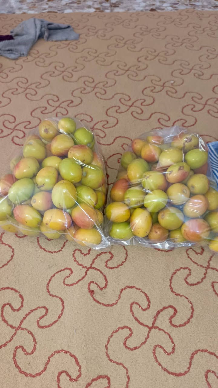 للبيع تفاحي امريكي وچبچابي
مراسلتي او الاتصال بالرقم ‏‪***********‬‏
يوجد توصيل لجميع المحافظات
