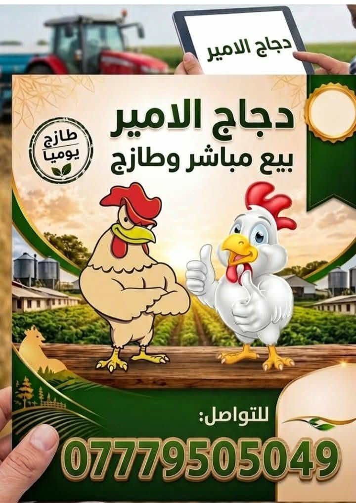 يا الله اللهم صلي على محمد وال محمد 
عرظ خاص الفخاذ. 5كيلوات 20 الف 
االفخذ كيلو 5.  
الصدر كيلو 5
الجنحه كيلو 4500
الركب كيلو الف 
الكبده كيلو 5
دجاجه إم الكيلوين وربع سعره 8000 
تواصل خاص او واتساب توصيل مجاني. المناطق القريبة. 
إذ كميه  ايظن توصيل مجاني الكافة مناطق لكوت 
***********
  ويا هله بيكم حبايبي
