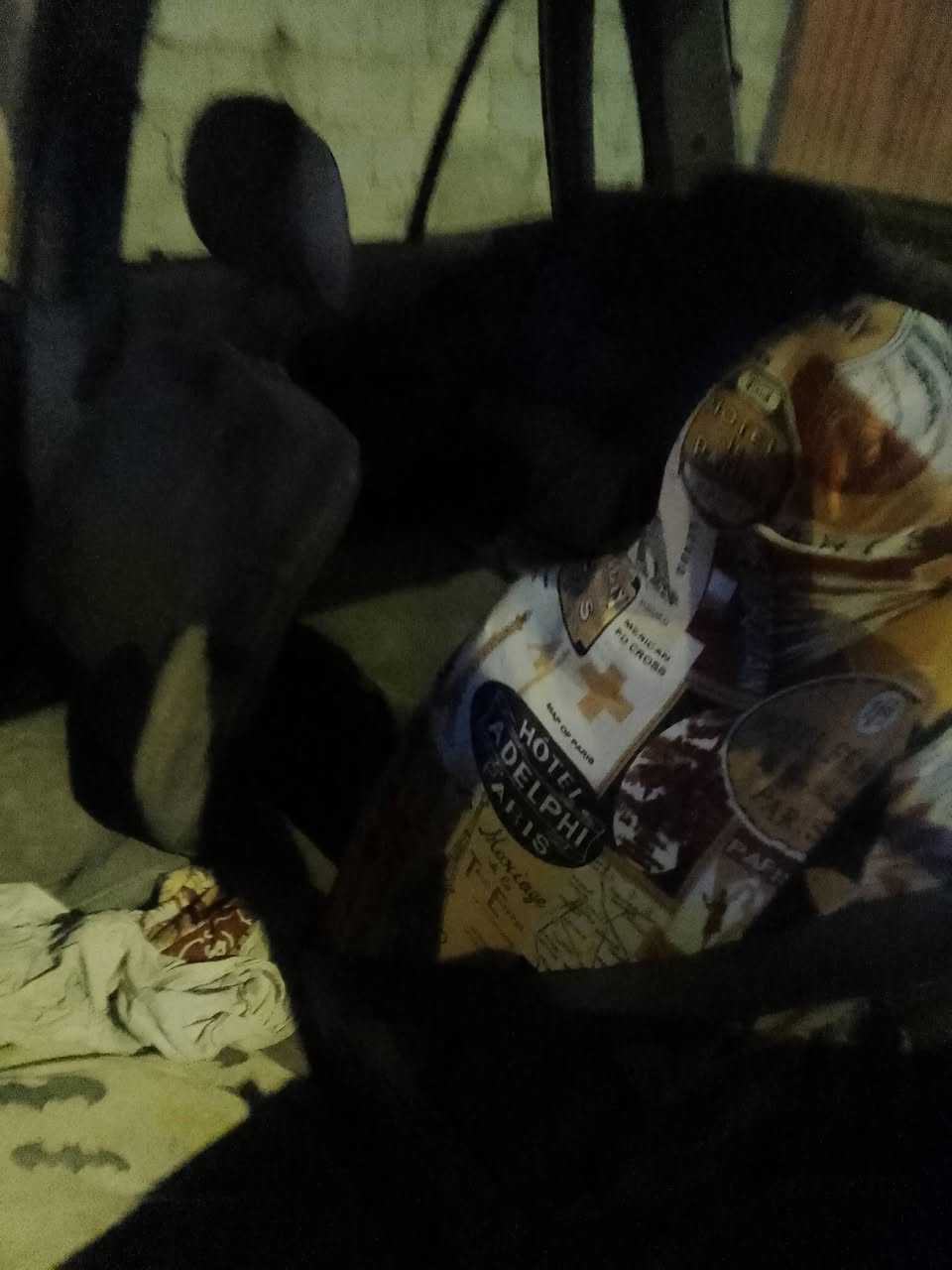 سايبه للبيع موديل 2011سنويه ل 2024السعر 7وبيها مجال سنويه عضم بيع مراوس بيها مجال قليل حك الجيه مستعجل عله بيها الاتصال عله الرقم ***********
