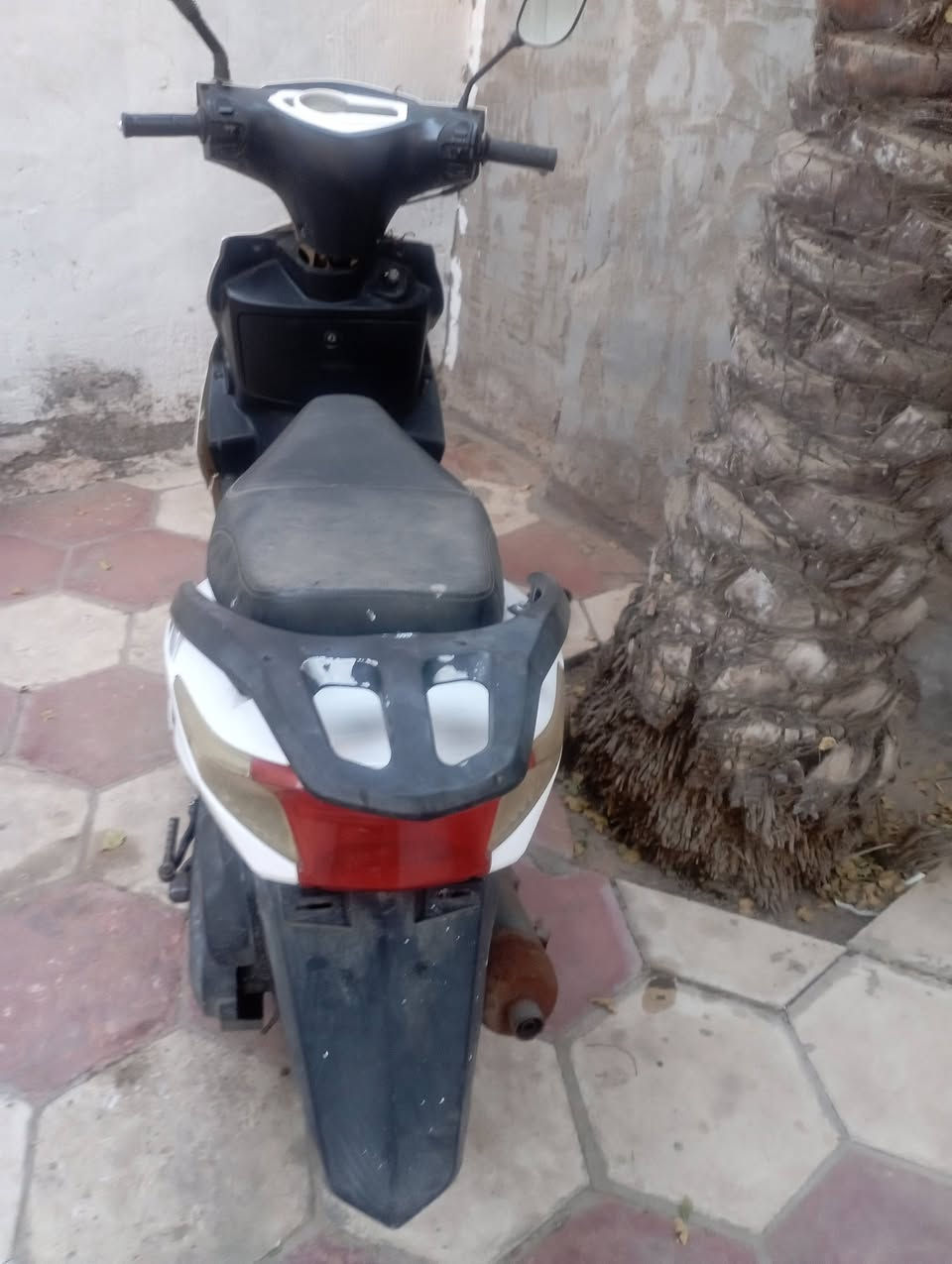 دراجه سكنس موديل ٢٢ شغاله سلف هندر كهربائيات  ٣٠٠ وبيه مجال قليل نجف عباسيه تشتغل بصمه حهاز انذار بيهه


**إذا كنت صاحب هذا الإعلان وتريد حذفه لأي سبب، رجاءا أرسل رسالة إلى الدعم الفني**