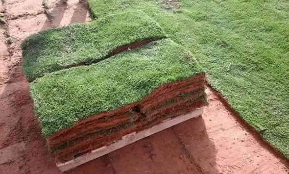 تخفضيات لفترة محدودة (بأسعار مناسبه وتنافسيه ) ✨❤️

انتاج خاص بمزارعنا
حيث الجودة والسعر المناسب 

☘ثيل هندي طبيعي نوعية ممتازة🍀 مناسب للاستخدام في ( المنازل🌳_ الحدائق🌳_ الملاعب🌳_ الدوائر🌿) 

#انتاج_خاص #شكل_مثالي  #سعر_تنافسي

✨ سعر المتر يختلف للكميات الكبيرة ✨

يوجد خدمة توصيل لجميع محافظات العراق 

#ملاحظة : التوصيل مجاني ❤️

(مستعدون لتجهيز الحدائق المنزليه و الملاعب الرياضيه و المنتزهات و الدوائر الحكومية بكادر مختص مميز يجيك لباب بيتك #بأسعار #تنافسيه )
🍁لمعرفة سعر المتر المربع التعليق ب "تم" سوف تصلك رساله 
🍁للاتصال او الاستفسار  متوفر مفتوح طوال اليوم
*********** اتصال
***********واتساب
*********** اتصال
