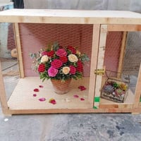 قفص دجاج • قفص • مستلزمات دواجن • قفص طيور • ديوانية • حي العسكري • دج...
