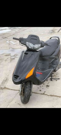 فراشة فحل • نضافة • ديوانية الدغارة