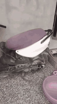 ماكس قجمه طافيه لبيع *********** .، واساب موجود
