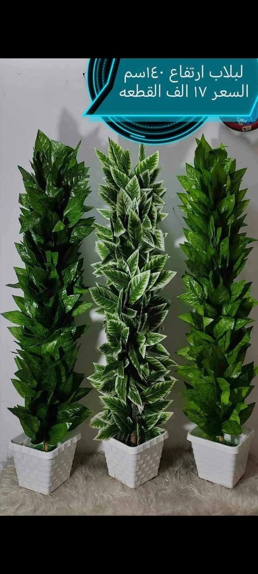 بسم الله توكلنا على الله
دلع بيتك بس ويانه وبشرط
 احلى من الصورة
توجد خدمة توصيل لجميع المحافظات


**إذا كنت صاحب هذا الإعلان وتريد حذفه لأي سبب، رجاءا أرسل رسالة إلى الدعم الفني**