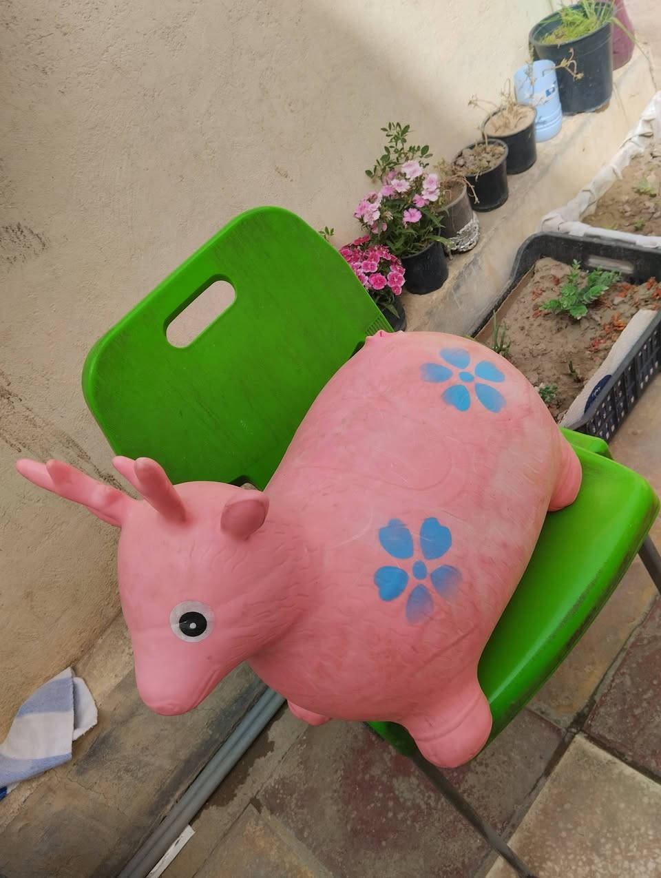 الاسعار جوه صور عنوان شارع 80حي لعسكري قرب صيدليه نموذجيه


**إذا كنت صاحب هذا الإعلان وتريد حذفه لأي سبب، رجاءا أرسل رسالة إلى الدعم الفني**