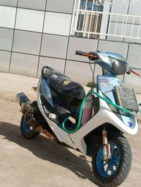 ماكس عدله • بوشه 55 • معدل فول