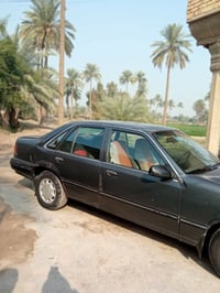 برنس • ١٩٩٤ • مكفولة