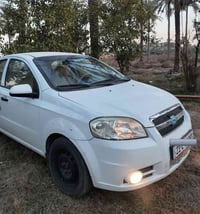 افيو • ٢٠١١ • رقم شمالي سليمانية