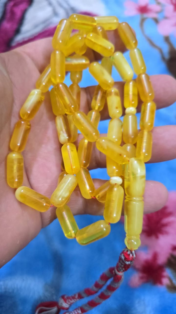كهرب بولندي حر صنوبري منوصف الوزن 42 غرام عدد الحبات 47 حبه خاص موجود توصيل جميع المحافظات


**إذا كنت صاحب هذا الإعلان وتريد حذفه لأي سبب، رجاءا أرسل رسالة إلى الدعم الفني**