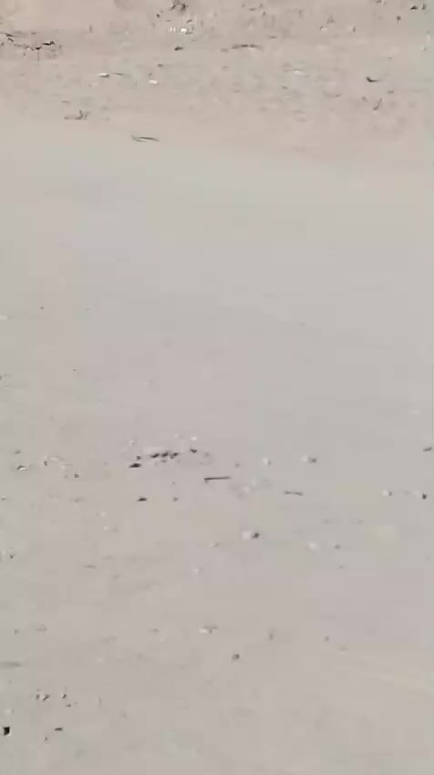 مكلف بالنشر هذا رقم راعيه ‏‪***********‬‏
مزارع 32 دونم تفاصيله بالفيديو سعرة 65 مليون
