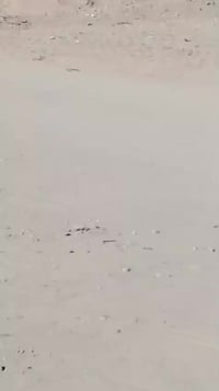 مزرعة ٣٢ دونم • شارع سفوان • للبيع