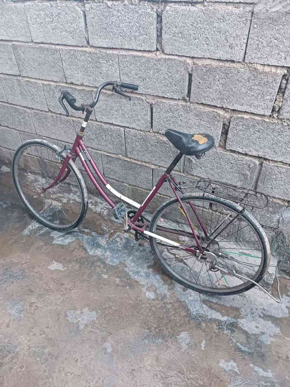 للبيع كلهن ب55✔️***********
