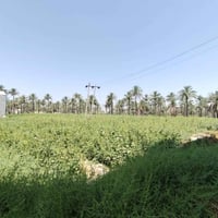 أرض للبيع بابل • دونم للبيع بابل • أراضي النيل للبيع • عقارات الصياحية...