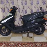 سبيسي ياباني • مكفوله • قابل تفاوض