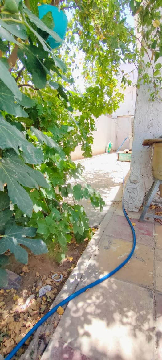 للبيع بيت مساحته 250 زراعي سند 25 مشمول فالتطويب البيت بيه كراج سياره وغرفتين وصاله ومطبخ ومكشوفه وبراني وحمامين لاستفسار *********** النجف, العراق
