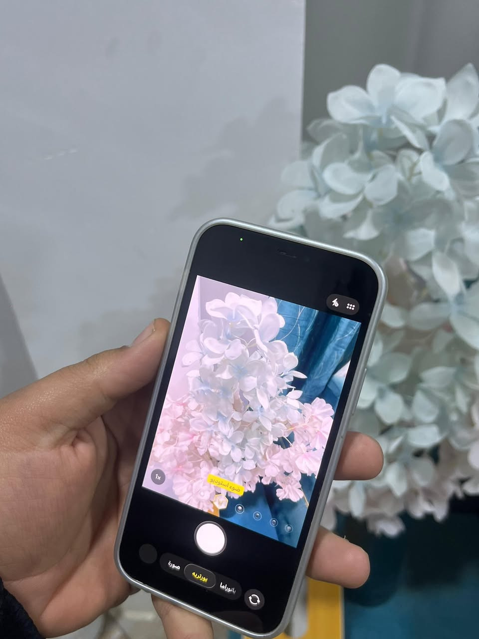 ايفون 12 برو فقط مو ماكس
ذاكرة 128 
بطارية 88 بلادية
بلادي شرط جهاز 
عل فحص 
السعر مناسب 325 
وبي مجال *********** هـ
