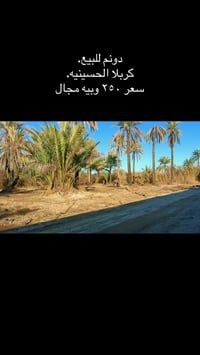 دونم • ٢٥٠٠م • كربلا أم ماشه