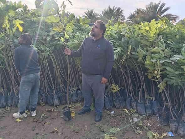 السلام عليكم ورحمه الله وبركاته
العنوان بغداد الرضوانية الشرقية طريق معمل زينب ثالث مشتل الجبير مجاور الملعب
توصيل جمله فقط
اتحب تجي للمشتل راسلني واتساب ***********ارسلك الموقع
***********
السعر حسب الحجم تبدأ من ٢٠٠٠ وتنتهي ٣٥٠٠
الحجم من متر إلى مترين
