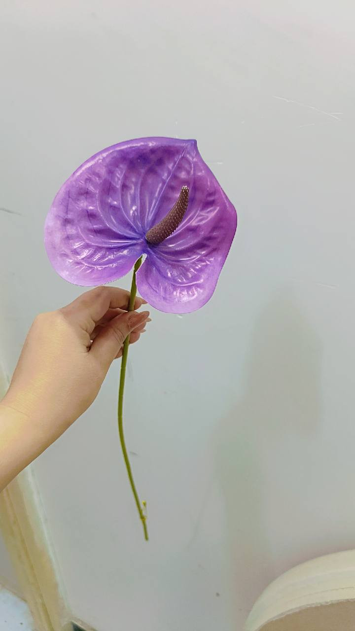 قرطاس حجم كبير كثيف بنفسجي فاتح وطوخ الغصن ب5 الف جديد الورق بي ورد غصن جوري الغصن 10 وردات ب5 الاف ورد عباد الشمس الغصن ب3 ورد اغصان عدد الوردة بالغصن 5 سعرة 3 ورد جلد النمر منفرد الوحدة ب3


**إذا كنت صاحب هذا الإعلان وتريد حذفه لأي سبب، رجاءا أرسل رسالة إلى الدعم الفني**