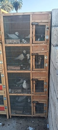 خانات شغل ممتاز أرضية الخانه 5 سانتيم سيم مانع البك نضيفات خانه آم 6 و...