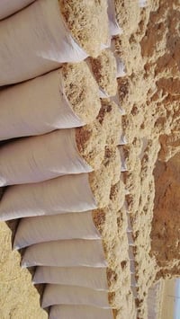 تبن حنطة نضيف شرط مال كوم دراسة حجم الكونيا 55سعرالزوج ٣٥٠٠ اتصل على ر...