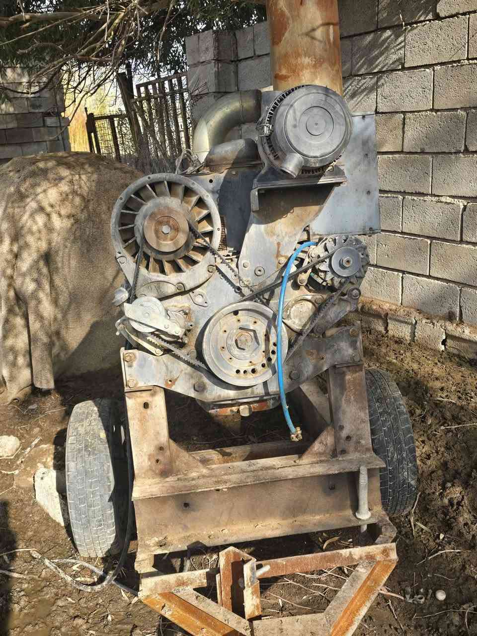 للبيع دويز حلواني ٣بستم خنزيره ٤×٥ ***********
#
