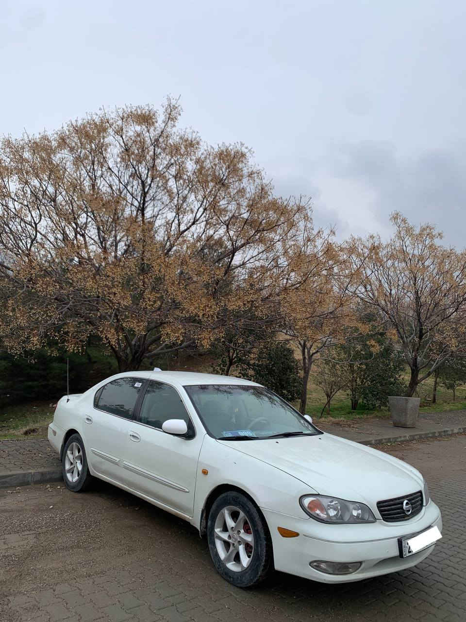 نیسان ماکزیما ✈ V6
مۆدێل ٢٠٠٢ ئیسترا خاص
١ پارچەی بۆیاخە  جگە لەوە هەموو گیانی بە شەرت 
گێر عادییە سەیارەکە 
بۆ زانیاری زیاتر پەیوەندی بکەن بە خاوەنی
***********
