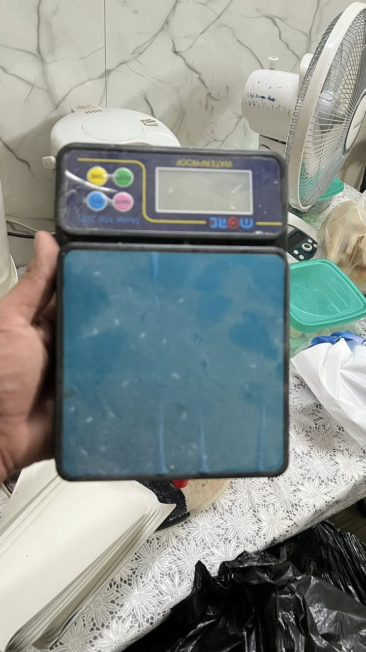 للبيع شلعة استعمال اسبوع واحد فقط 

خلاط الحمص ممستخدم نهائياً (٧٥ الف ) قفل 
كرل درجة اولى اصلي ٣٠٠ الف 
قلايه ١٧٥
كابسة بركر ١٥٠

ميزان ١٥ الف

تواصل واتساب فقط 

***********

اول على الخاص
