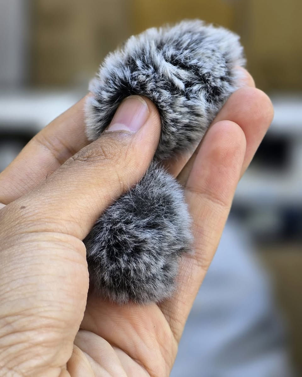 DJI MIC 2  للبيع


**إذا كنت صاحب هذا الإعلان وتريد حذفه لأي سبب، رجاءا أرسل رسالة إلى الدعم الفني**