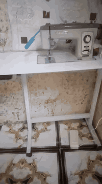 السلام عليكم مكينة براذر تطريز 11 نقشه نظيفة سعرها 150 .؟؟***********
