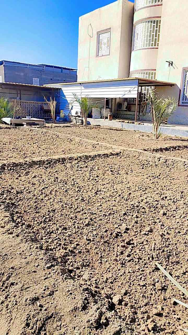 السلام عليكم اخوان حراثة حدائق وترتيب وزراعة الثيل ***********بي واتساب مكاني بني  منصور
