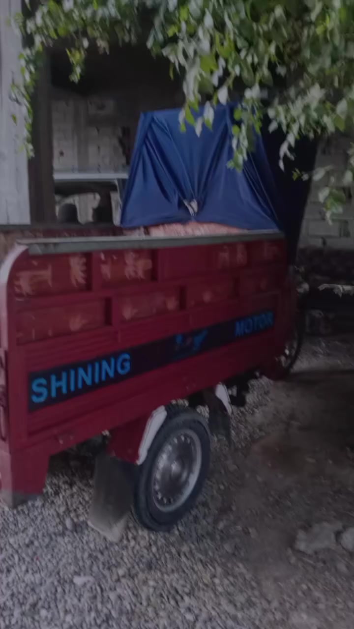 سلام عليكم فحل عالي اوراق كمله موديل 23 للبيع الستفسار ***********الموشراي رجان لا خابرني ستوته كلها شرط مال جناي
