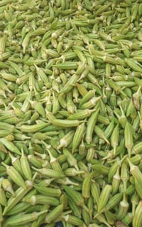 بانيا حياشة • بانيا • حياشة • كيلو • توصيل مجاني • طعام