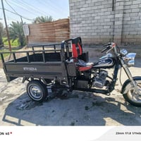 MTR 150 • ستوته بلجيس • اوراق ٢٣
