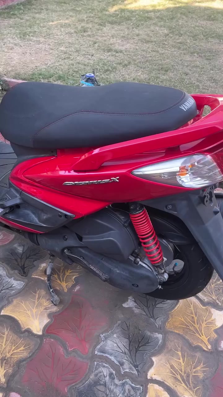 سكنس فحل نوزل للبيع دراجه جديده مصارلهه شهر من نازله رمبه 
***********
