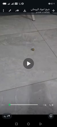 اخوان التفاصيل بلفيديو السعر 20$ورقه فقط اتصال ارد بغداد07736249852