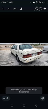 راس ثور • ١٩٩٦ • بصره كرنه