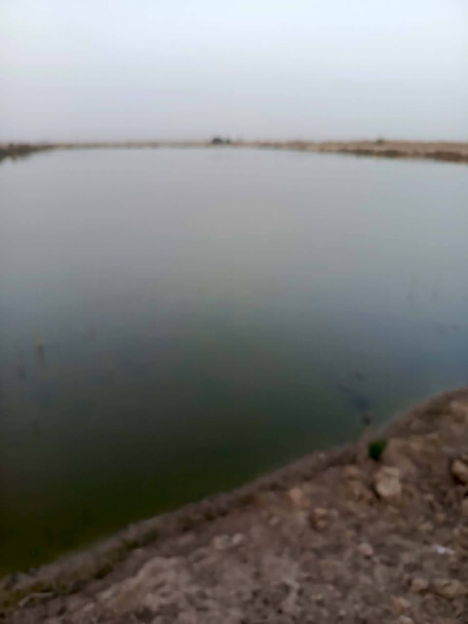 بحيرات 100دونم مجازه للايجار***********
