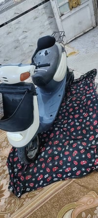 منغولي • سلف • كهربايات كاملة