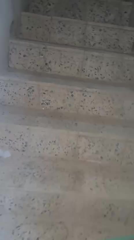 يا الله سلام عليكم شقل الايجار بحي اور قرب مدرسه الجماهير شارع السبيس اجار الشقه 300 نت ومولد عله ابو 

شقه 

‏‪0773 213 8840‬‏ 
‏‪0783 110 4169‬‏
