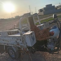 وستوتة • كهربايات شغالة • الحويجة