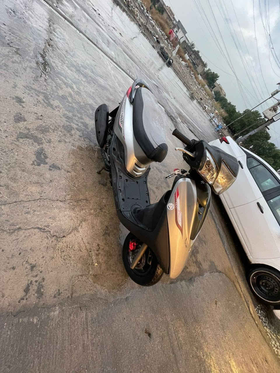 دراجه ببغاء موديل 14 دراجه رمبه جديده كفاله عمه 850 وبيه مجال ***********
