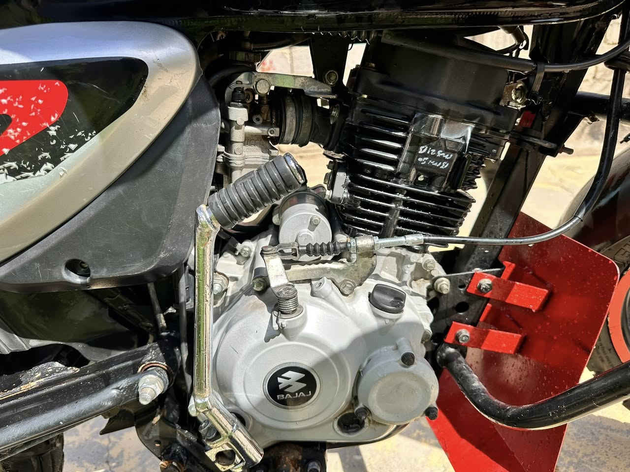 بوكسر مجفته صوت بلادي اصلي غراضها صار يوم من جفتتها
شرط ما تعرفها كايمه لو مكايمه بلاديه رقم لسعر 1800 تحويل ثاني


**إذا كنت صاحب هذا الإعلان وتريد حذفه لأي سبب، رجاءا أرسل رسالة إلى الدعم الفني**