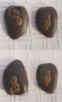 حجر سلطاني • عطف مصور • نوادر